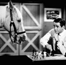 Mr. Ed has Wilber near checkmate