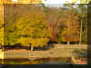 DSC00402.JPG (60489 bytes)